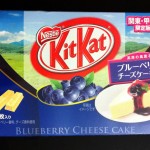 blueberrycheese01